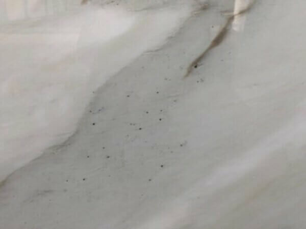 Calacatta Cremo Marble STW CALACR