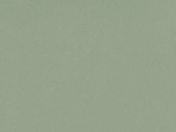 Posidonia Green Silestone Quartz SS POSIGR